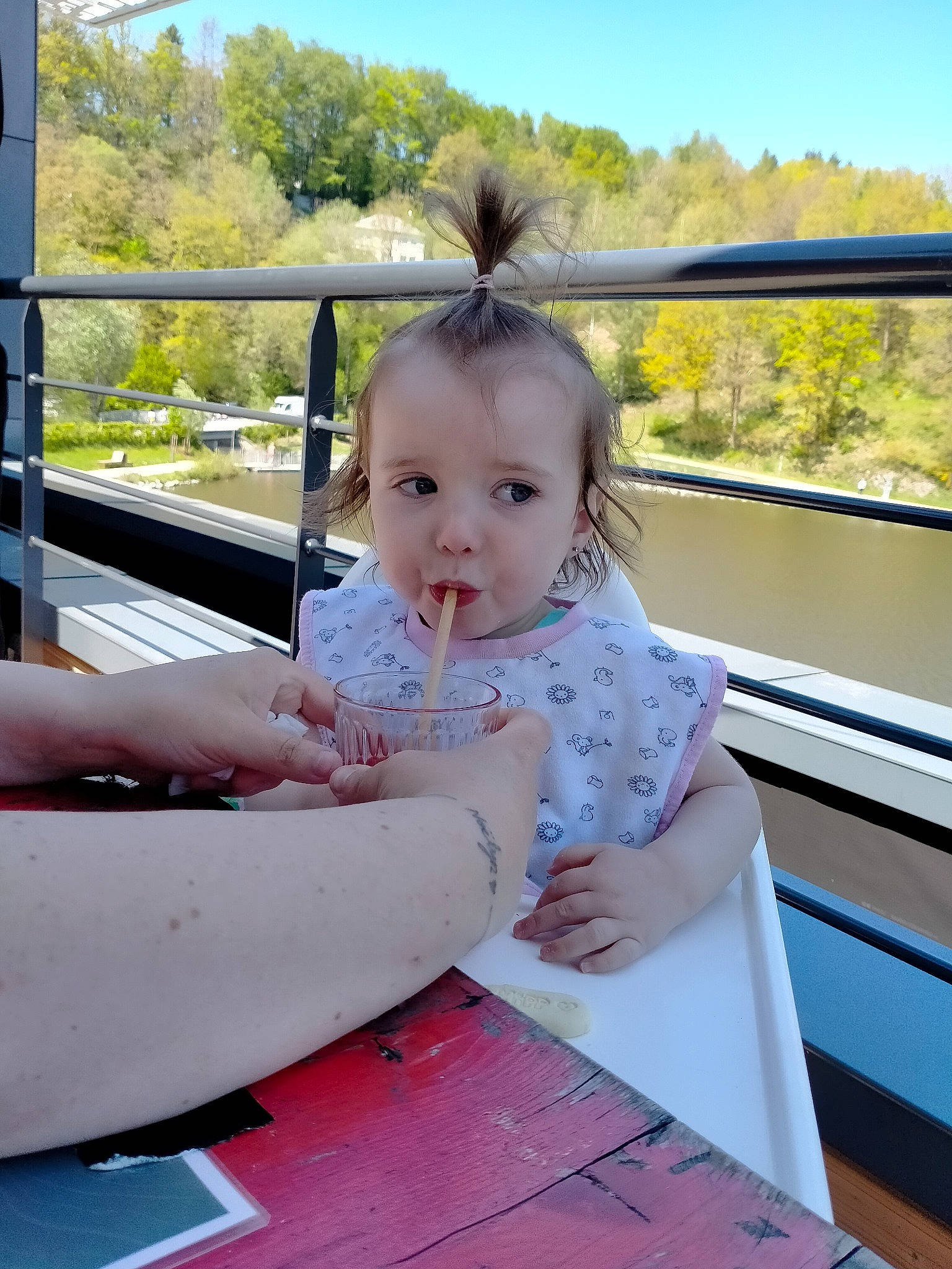 Noëlyn participe au concours pour gagner de l'argent avec cette photo : baby, baby_toddler_clothing, chair, eye, facial_expression, fence, fun, grass, hairstyle, happy, leisure, person, plant, recreation, sitting, skin, sky, table, toddler, tree
