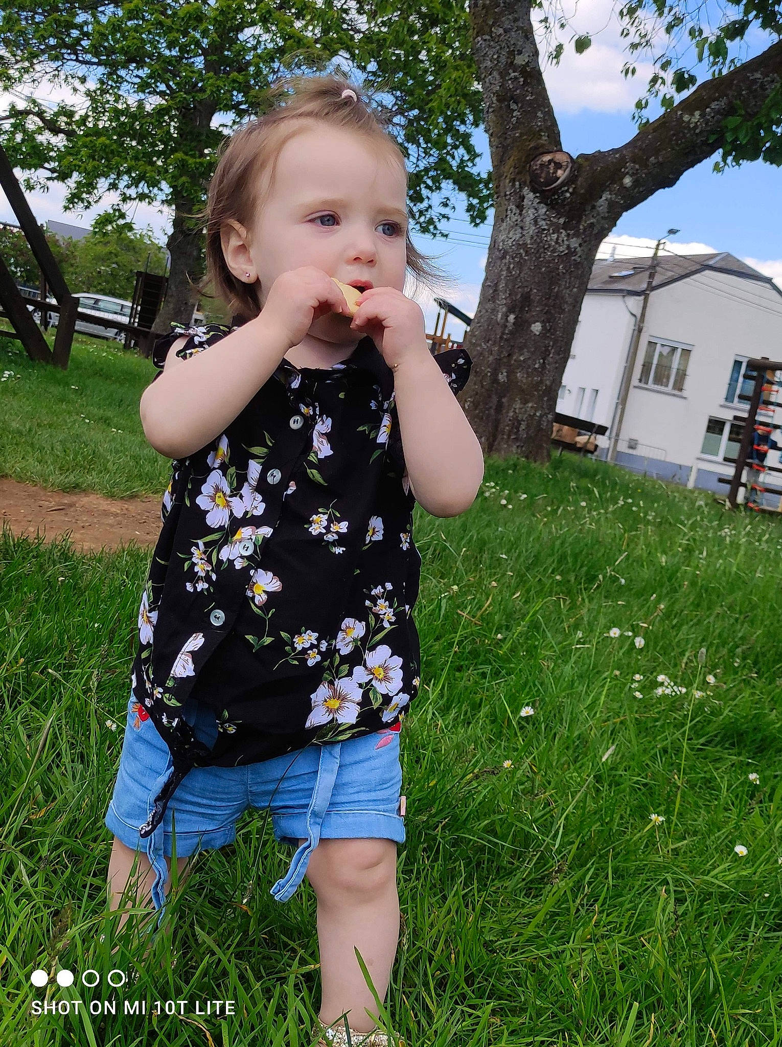 Noëlyn participe au concours pour gagner de l'argent avec cette photo : baby_toddler_clothing, finger, gesture, grass, grass_family, grassland, hair, happy, iris, leaf, meadow, people_in_nature, person, plant, skin, sky, sleeve, summer, sunlight, toddler