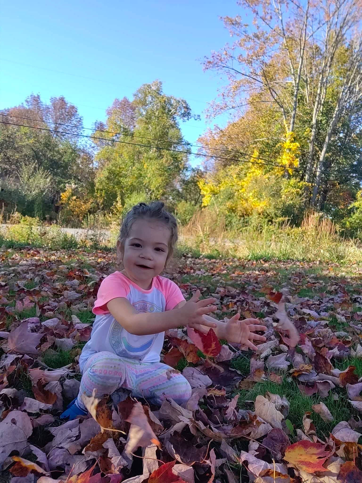 Madelyn joined the competition — help win amazing prizes! autumn, botany, child, deciduous, forest, grass, joy, landscape, leaf, natural_landscape, people_in_nature, person, plant, sky, soil, temperate_broadleaf_and_mixed_forest, toddler, tree, vegetable, wood