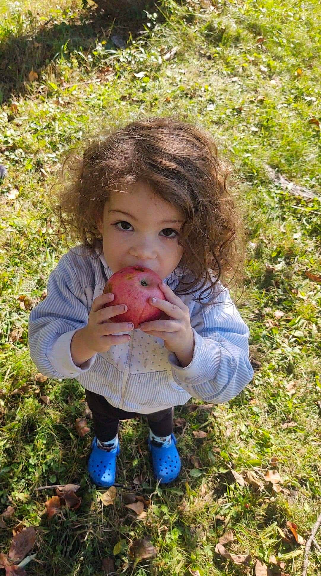 Madelyn joined the competition — help win amazing prizes! baby_toddler_clothing, blond, child, face, facial_expression, finger, fruit, fun, garden, gesture, grass, grass_family, hand, happy, people_in_nature, person, plant, sitting, soil, thumb