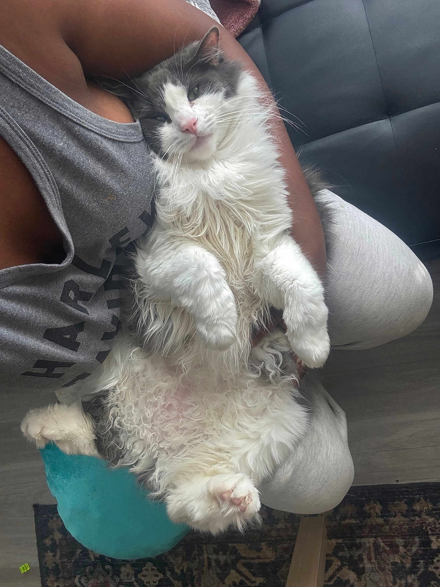 Prince