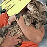 cat, fluffy_cat, curly_fur, person, orange_shirt, tattoo, ring, kitchen, modern_kitchen, indoor, holding, pet, animal, domestic_cat, affection, love, feline, home, comfort, gray_cat