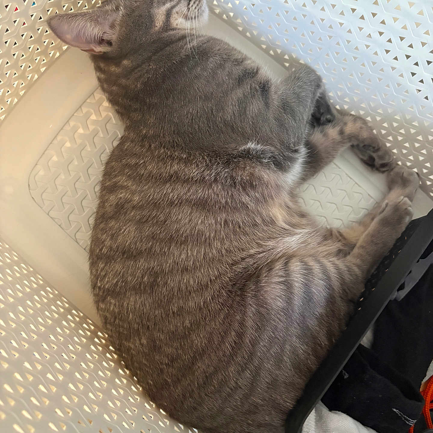 Aby