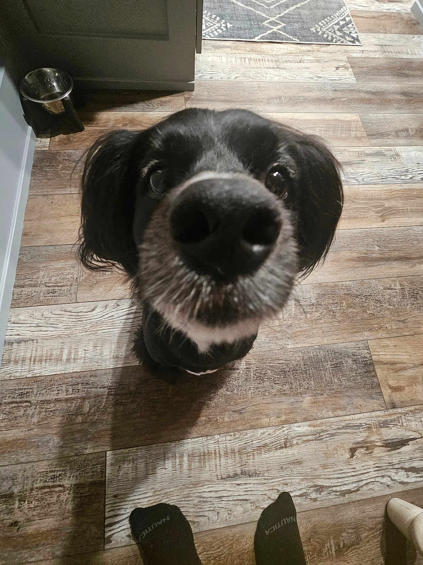 Levi