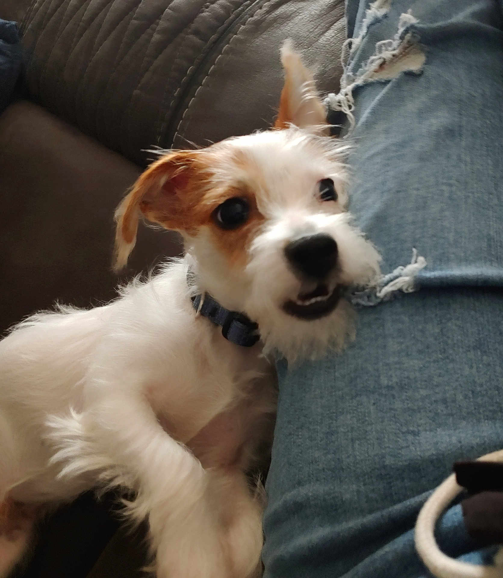Axl