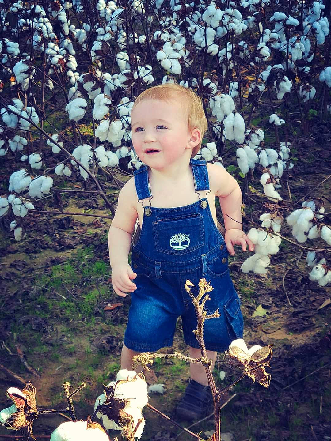 Caleb joined the competition — help win amazing prizes! baby, baby_toddler_clothing, beauty, branch, child, electric_blue, face, flash_photography, grass, happy, leaf, light, nature, people_in_nature, person, photograph, plant, sky, smile, sunlight