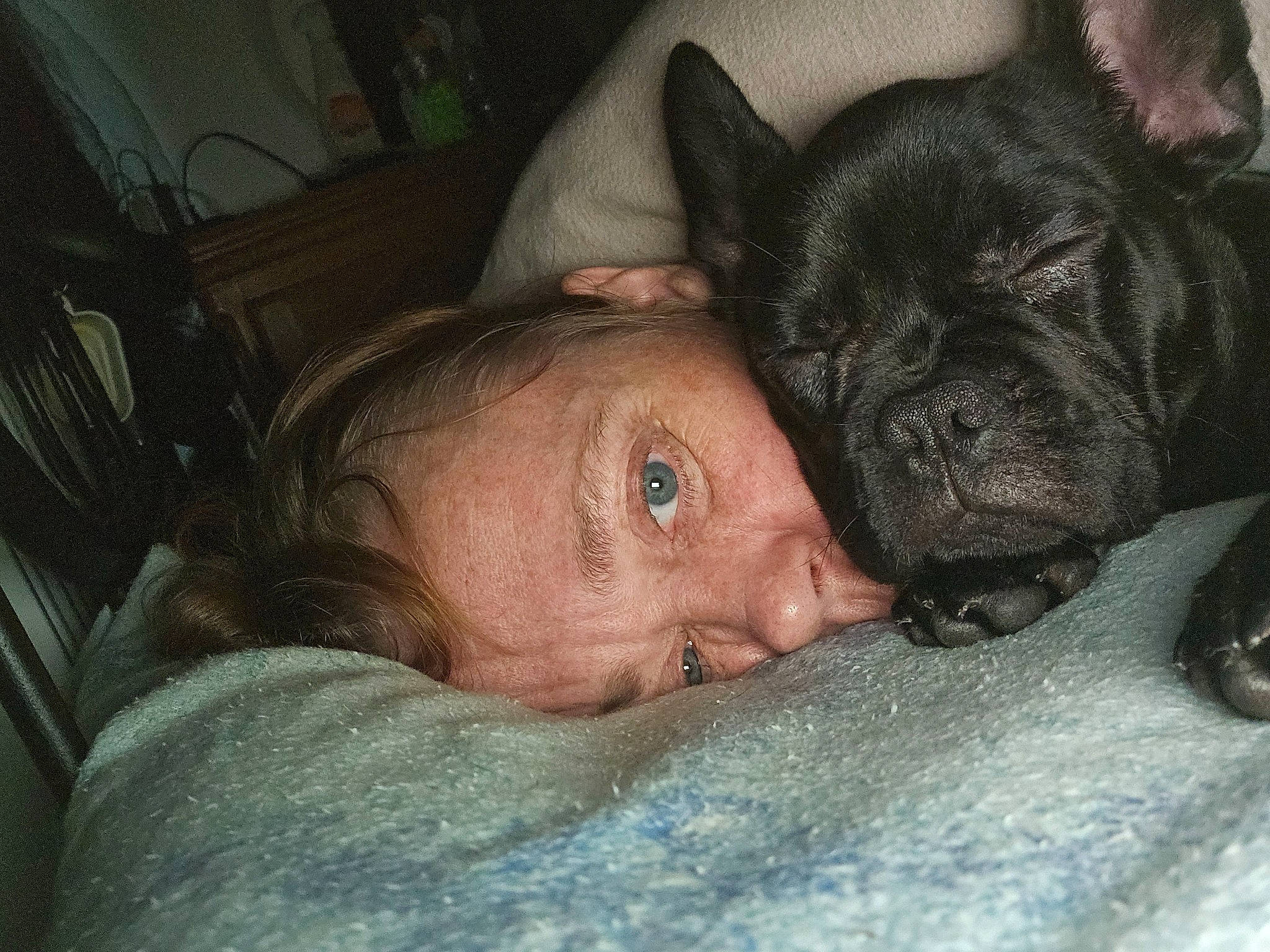 Léon a rejoint le concours — aidez-le/la à gagner de superbes lots ! bulldog, canidae, carnivore, comfort, companion_dog, dog, dog_breed, ear, fawn, fur, molosser, mouth, nose, snout, sporting_group, terrestrial_animal, toy_dog, whiskers, working_animal, wrinkle