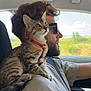 Rave participe au concours pour gagner de l'argent avec cette photo : man, cat, tabby_cat, car, driving, sunglasses, seatbelt, window, daylight, curious, pet, shoulder, beard, short_hair, casual_clothing, indoor, side_view, animal, human, travel
