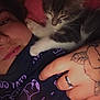 Leïka a rejoint le concours — aidez-le/la à gagner de superbes lots ! animal, casual, cat, closeup, cozy, face, hand, indoor, kitten, person, pet, pink_background, purple_shirt, resting, ring, sleeping, snuggling, soft_light, tattoo, young_adult