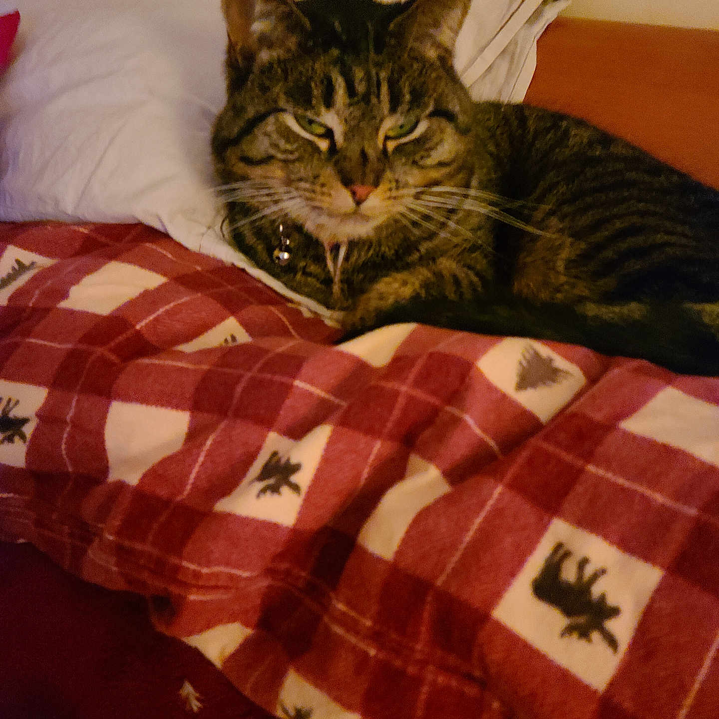 Maggie