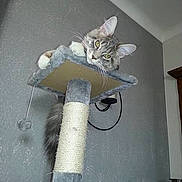 Ixelle De L'escaut participe au concours pour gagner de l'argent avec cette photo :