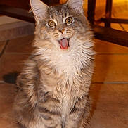 Ixelle de l\'Escaut participe au concours pour gagner de l'argent avec cette photo :