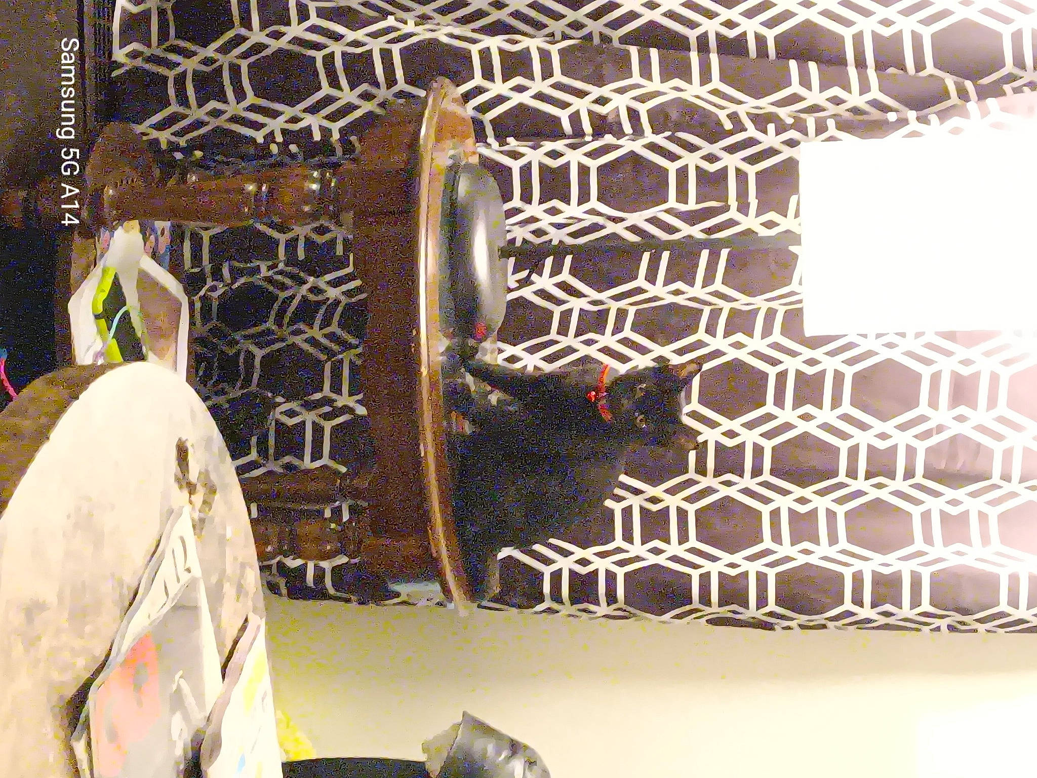 Jack is registered to the contest to win money with this photo: art, bag, brown, circle, eyewear, flooring, font, interior_design, linens, mesh, metal, pattern, rectangle, room, textile, tints_and_shades, visual_arts, wall, window_treatment, wood