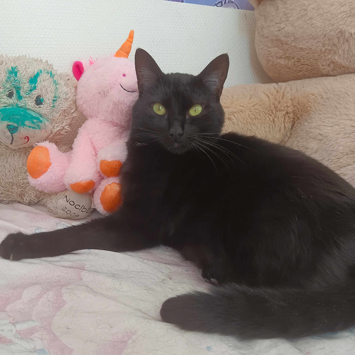 Chipie a rejoint le concours — aidez-le/la à gagner de superbes lots ! animal, bed, bedding, black_cat, cat, cozy, cute, feline, fur, indoor, pet, plush_toy, relaxing, sleeping_area, soft_toy, stuffed_animal, teddy_bear, unicorn, whiskers, yellow_eyes