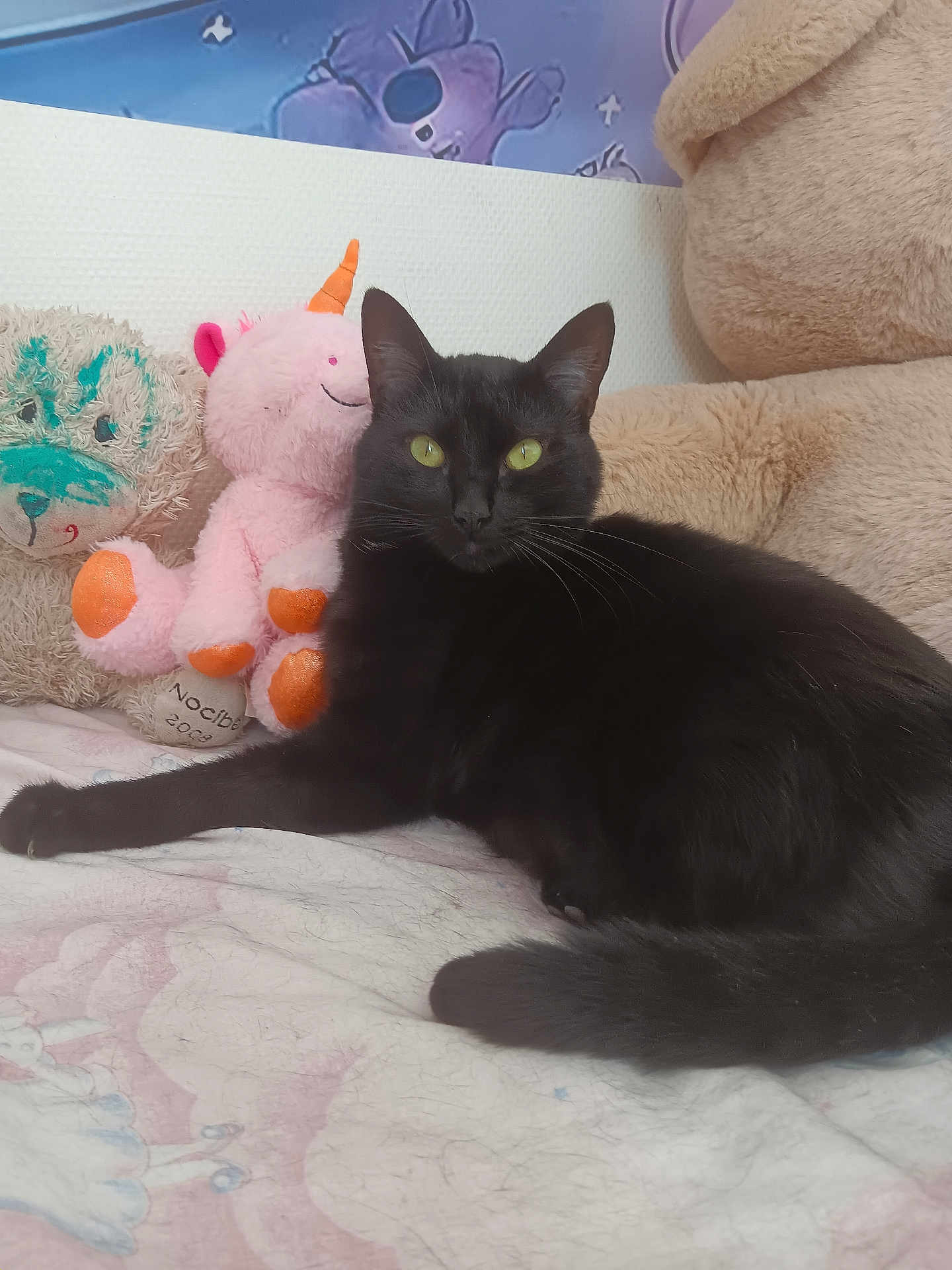 Chipie a rejoint le concours — aidez-le/la à gagner de superbes lots ! black_cat, cat, stuffed_animal, unicorn, teddy_bear, bed, bedding, feline, pet, animal, cute, indoor, relaxing, plush_toy, soft_toy, cozy, sleeping_area, whiskers, yellow_eyes, fur