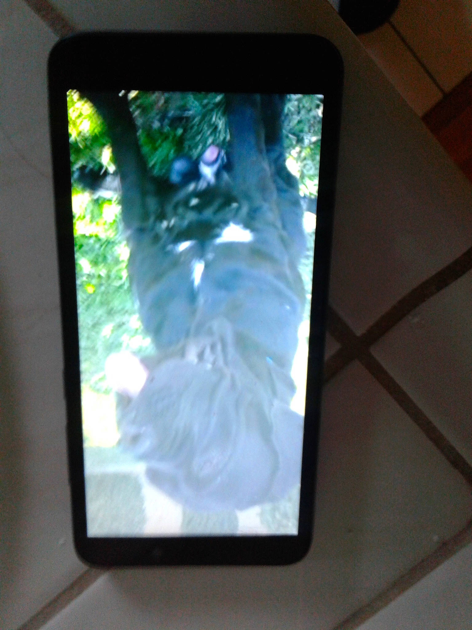 Enzo joined the competition — help win amazing prizes! communication_device, electronic_device, electronics, gadget, ipod_touch, mobile_phone, multimedia, portable_communications_device, screen, smartphone, technology, transparent_material