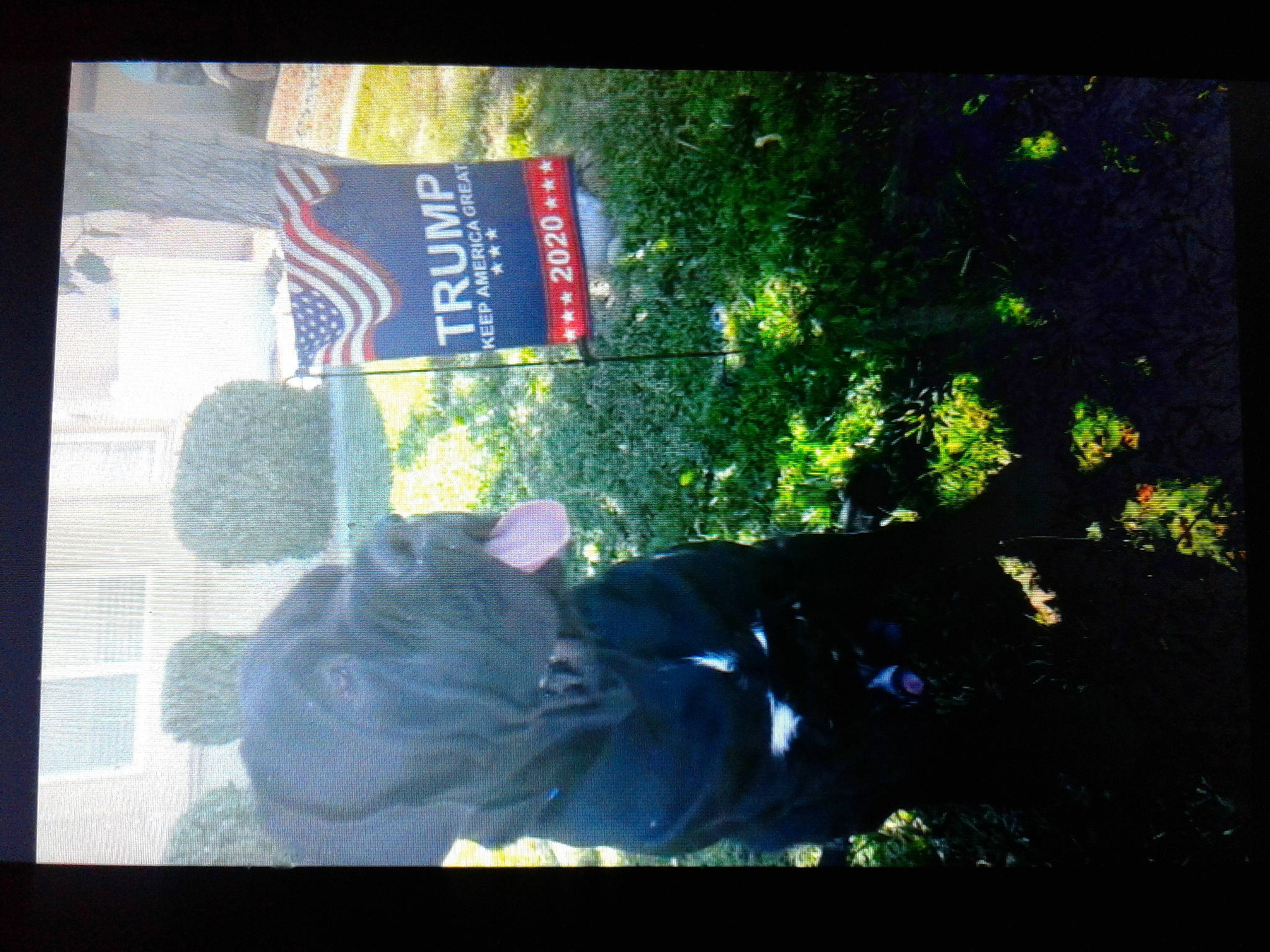 Enzo is registered to the contest to win money with this photo: adaptation, font, leaf, night, organism, photography, plant, snapshot, square, sunlight, text, tints_and_shades, tree, window, world