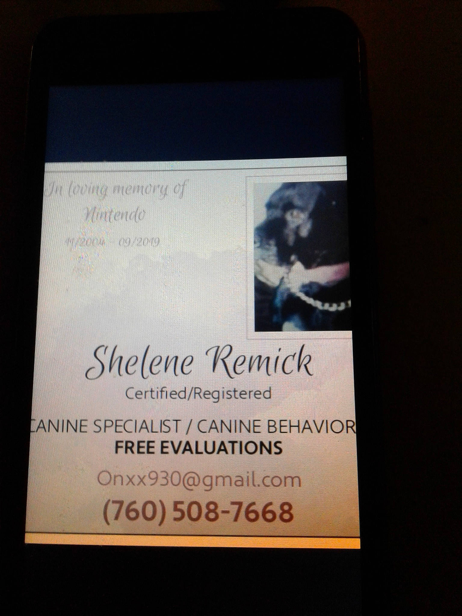 Nintendo is registered to the contest to win money with this photo: display_device, electronic_device, font, multimedia, square, technology, text