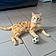 Michi