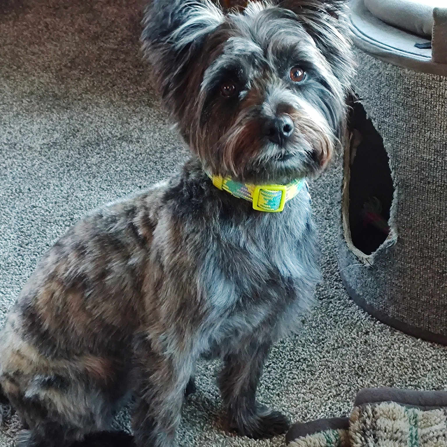 Marley