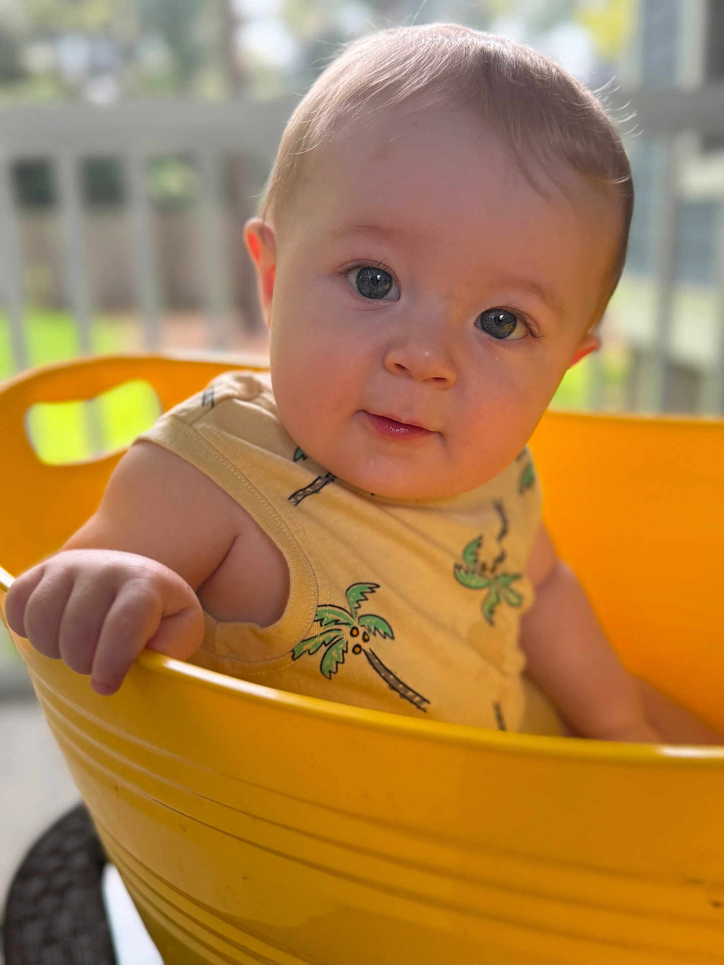 Hudson joined the competition — help win amazing prizes! baby, child, yellow_bucket, tank_top, palm_tree_print, curious, portrait, indoors, hand, face, skin, cute, expression, short_hair, summer_clothing, natural_light, background_blur, person, infant, closeup