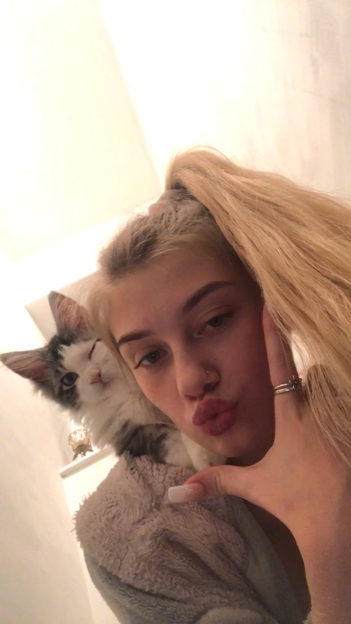 Vinnie joined the competition — help win amazing prizes! beard, brown_hair, carnivore, cat, comfort, ear, eyelash, face, fawn, felidae, fur, gesture, happy, iris, layered_hair, long_hair, shoulder, skin, small_to_medium_sized_cats, whiskers