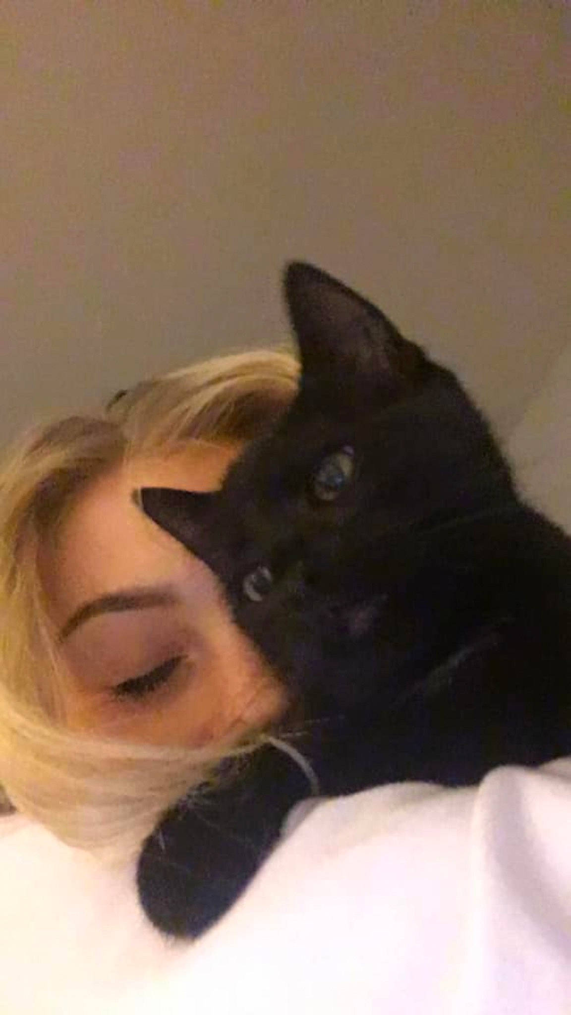 Ashley is registered to the contest to win money with this photo: bed, black_cat, bombay, carnivore, cat, claw, comfort, domestic_short_haired_cat, ear, eyelash, felidae, fur, gesture, paw, selfie, sitting, small_to_medium_sized_cats, snout, tail, whiskers