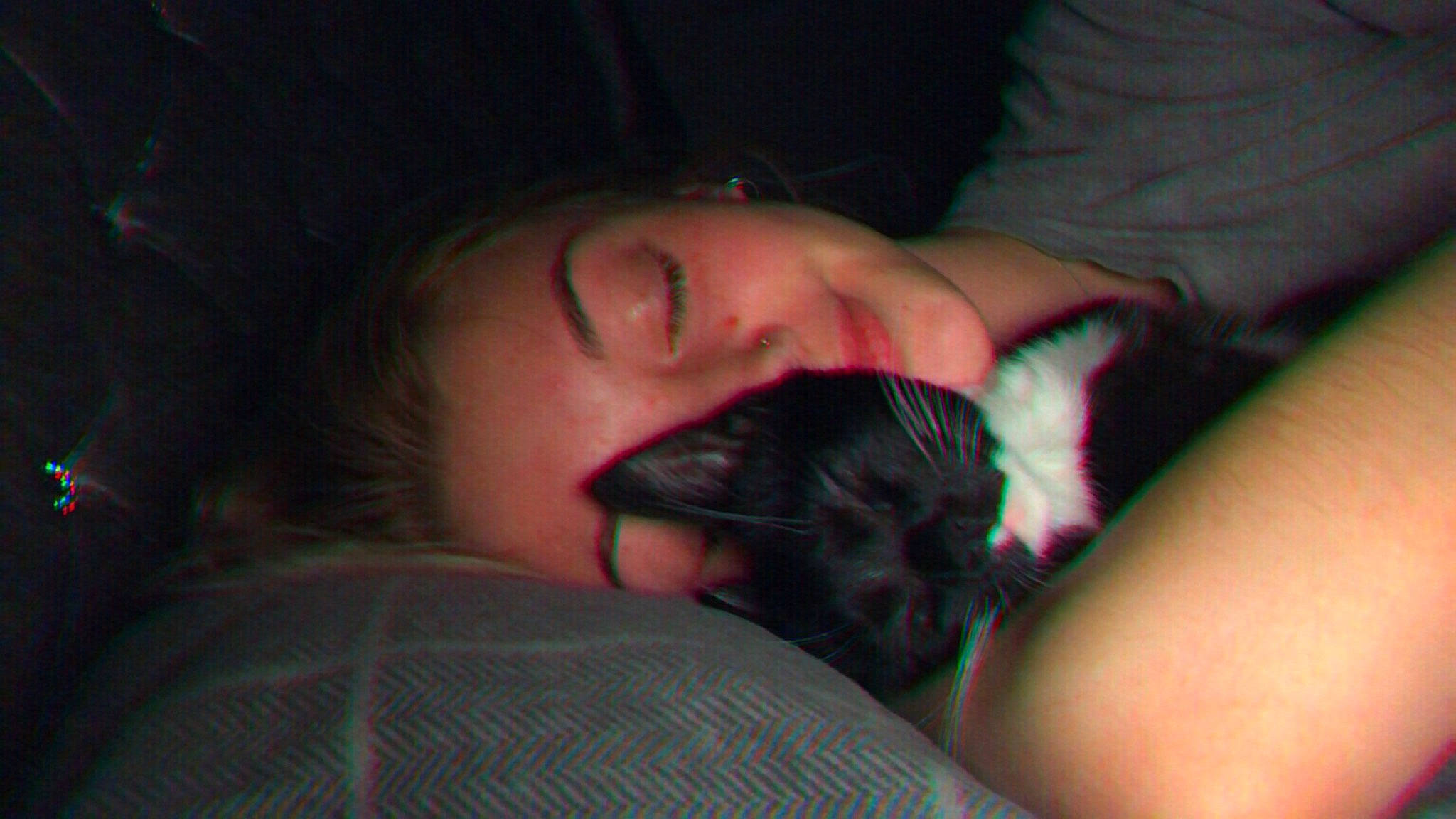 Poppy is registered to the contest to win money with this photo: abdomen, bed, black_hair, carnivore, cat, comfort, companion_dog, darkness, ear, elbow, eyelash, felidae, human_leg, mouth, neck, skin, small_to_medium_sized_cats, thigh, trunk, whiskers