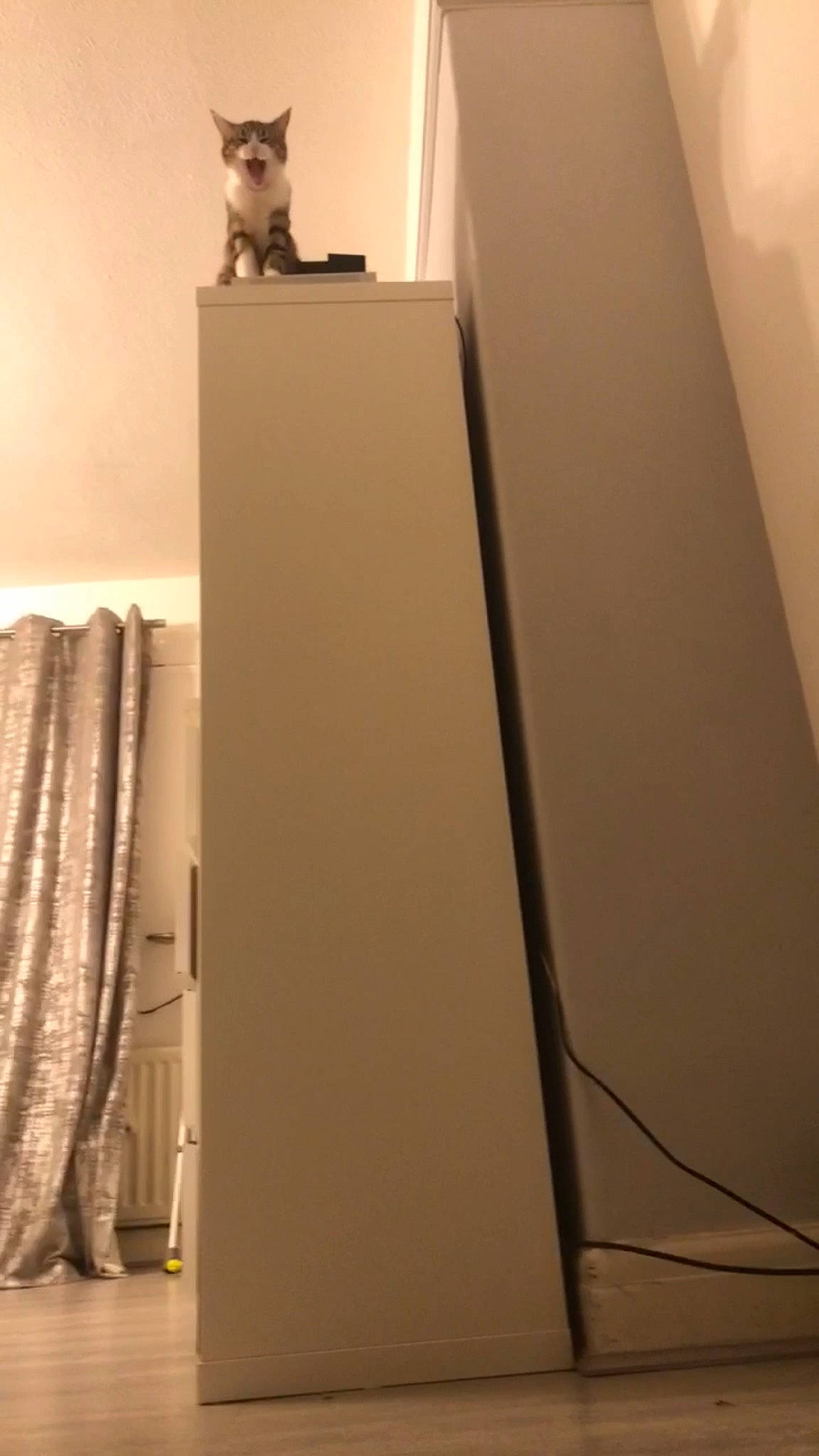 April joined the competition — help win amazing prizes! audio_equipment, automotive_exterior, cabinetry, ceiling, drawer, floor, flooring, hardwood, home_appliance, major_appliance, material_property, plaster, plywood, publication, rectangle, room, shadow, shelf, shelving, wood