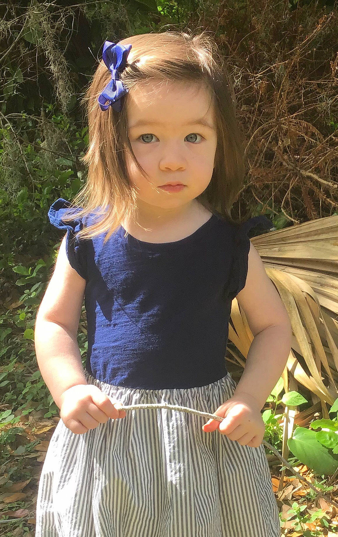 Lillie is registered to the contest to win money with this photo: baby_toddler_clothing, black, blue, clothing, day_dress, flash_photography, grass, green, hair, hairstyle, happy, organ, people_in_nature, person, photograph, plant, sleeve, tartan, toddler, waist