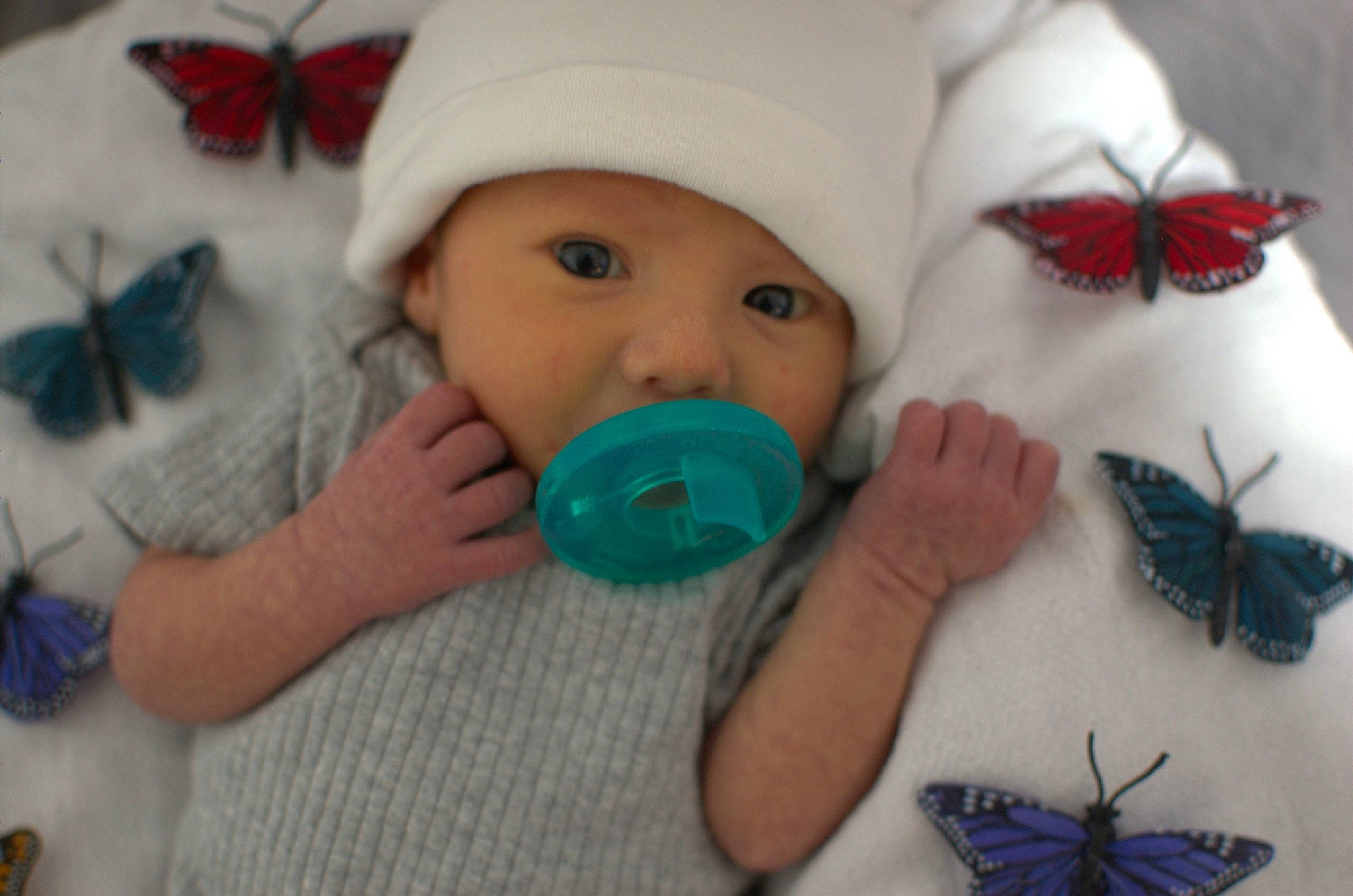 Kara joined the competition — help win amazing prizes! arthropod, azure, baby, baby_products, baby_toddler_clothing, beanie, blue, butterfly, cap, child, happy, headwear, insect, knit_cap, linens, moths_and_butterflies, pattern, person, pollinator, toddler