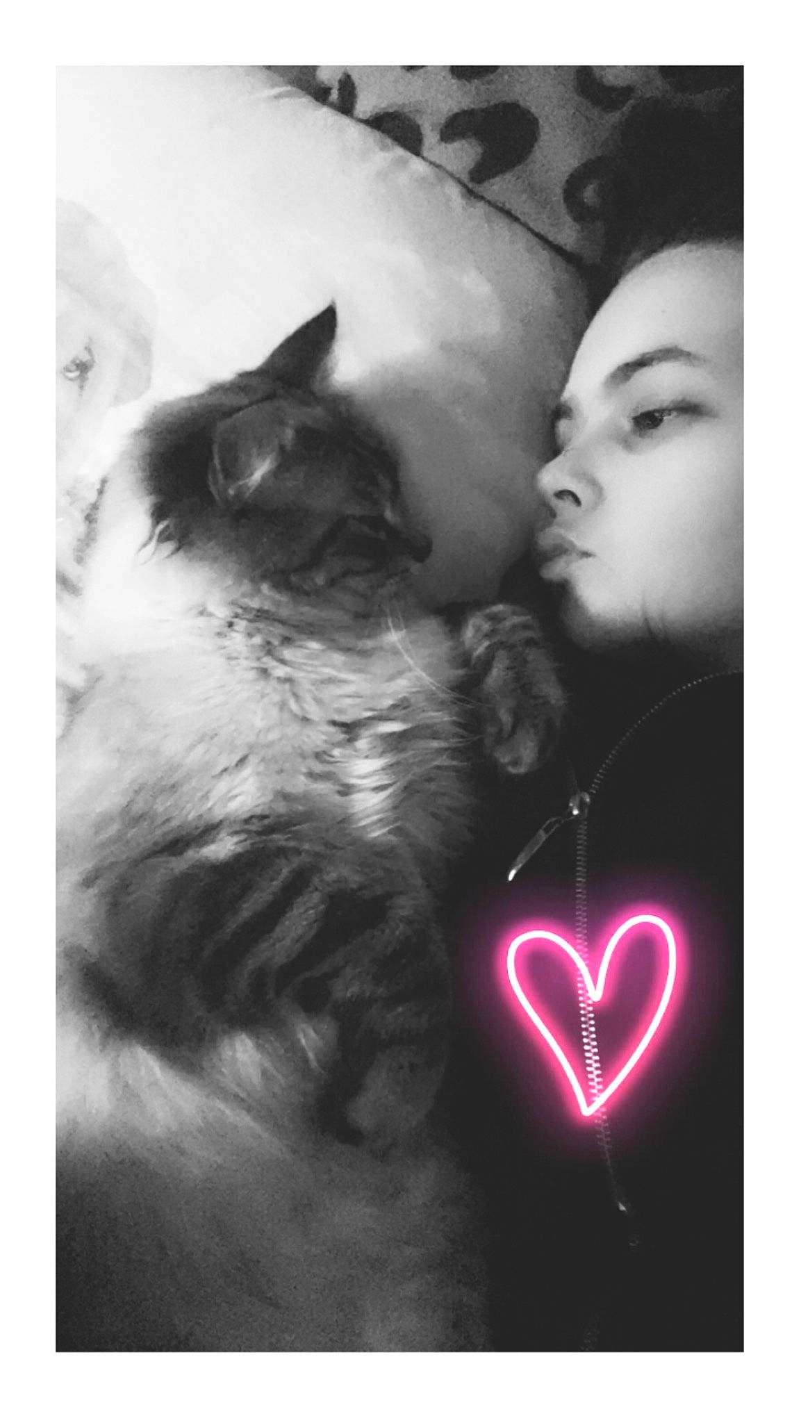 Cepheus a rejoint le concours — aidez-le/la à gagner de superbes lots ! carnivore, cat, eyelash, felidae, flash_photography, formal_wear, fur, gesture, happy, heart, jewellery, love, magenta, monochrome, monochrome_photography, organ, romance, small_to_medium_sized_cats, whiskers