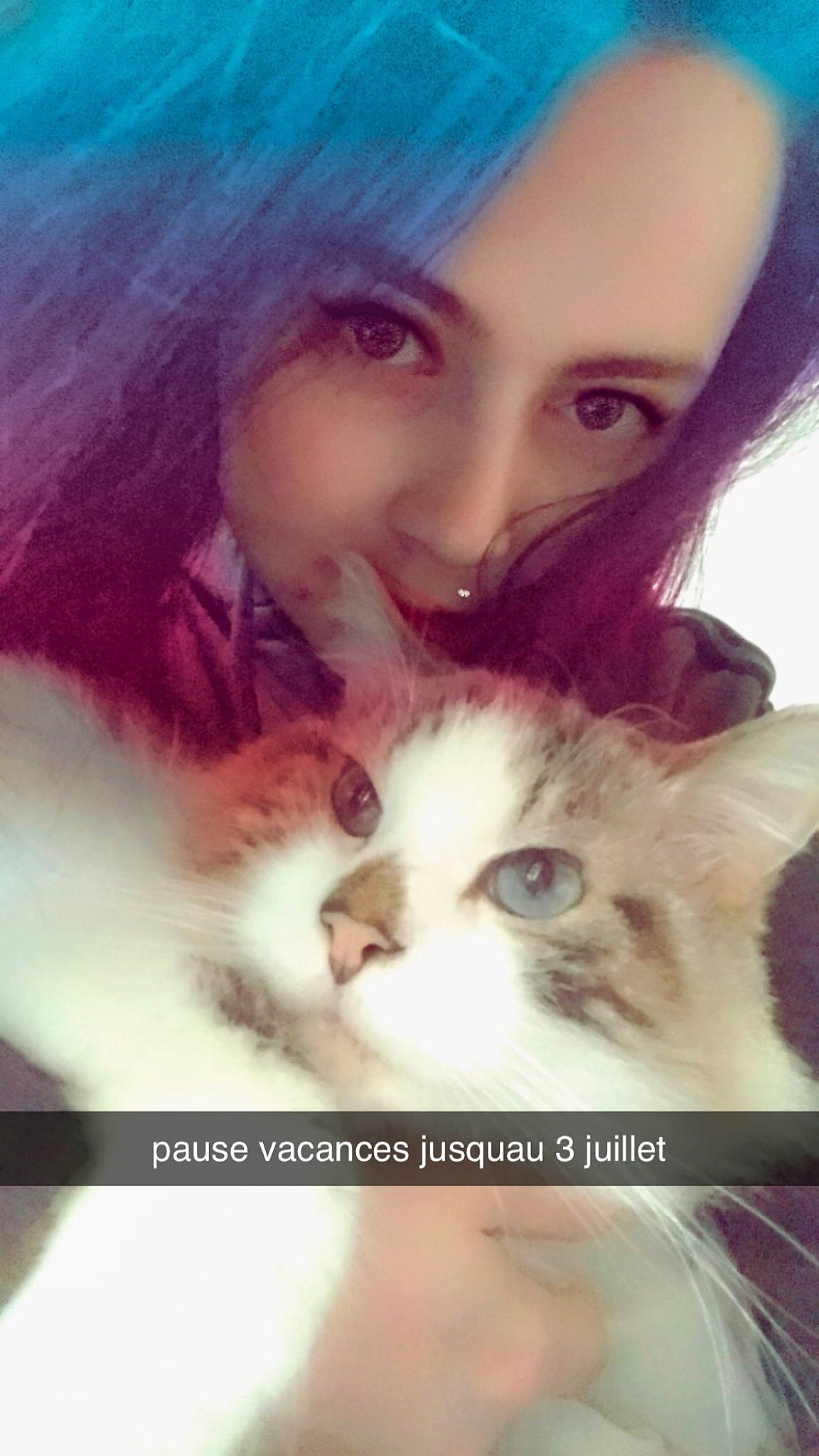 Turbine participe au concours pour gagner de l'argent avec cette photo : brown_hair, carnivore, cat, cheek, ear, eyelash, fawn, felidae, fur, gesture, happy, iris, jaw, magenta, nose, photo_caption, red_hair, selfie, small_to_medium_sized_cats, whiskers