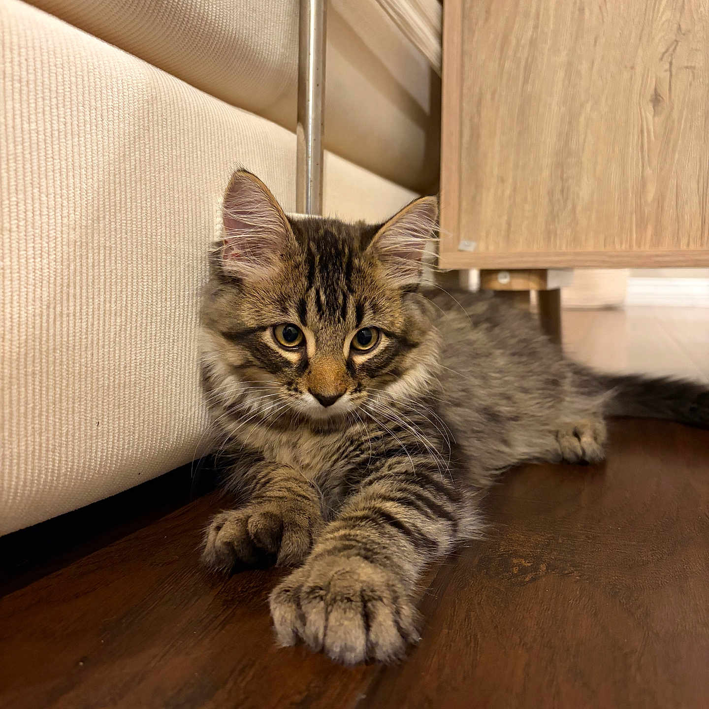 Milo