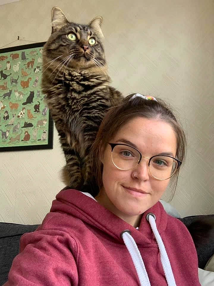 Asparagus joined the competition — help win amazing prizes! carnivore, cat, domestic_short_haired_cat, eyewear, facial_expression, felidae, fun, fur, gesture, glasses, happy, mammal, organ, selfie, sitting, sleeve, small_to_medium_sized_cats, tail, vision_care, whiskers