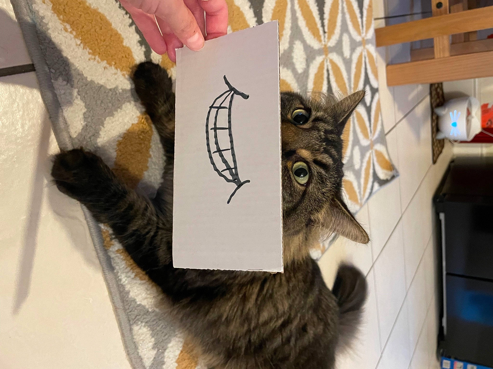 Asparagus joined the competition — help win amazing prizes! art, bat, eyewear, fashion_accessory, felidae, font, fur, gesture, painting, paper, pattern, sleeve, small_to_medium_sized_cats, t_shirt, tail, tree, visual_arts, whiskers, wood, wrist