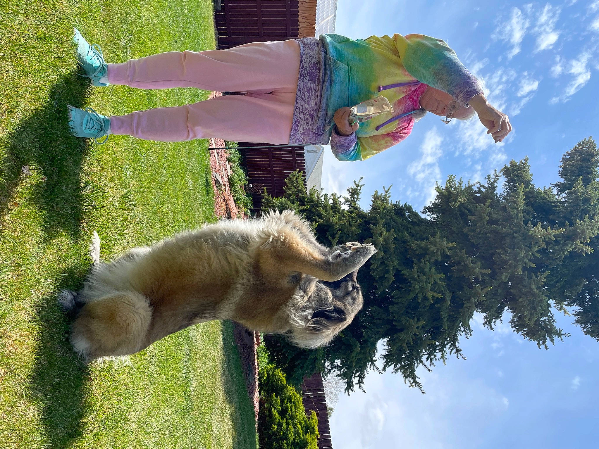 Keeta is registered to the contest to win money with this photo: carnivore, cloud, dinosaur, dog_breed, fawn, fun, grass, green, leisure, nature, people_in_nature, plant, pole, sky, sporting_group, tail, tree, water, wildlife, working_animal