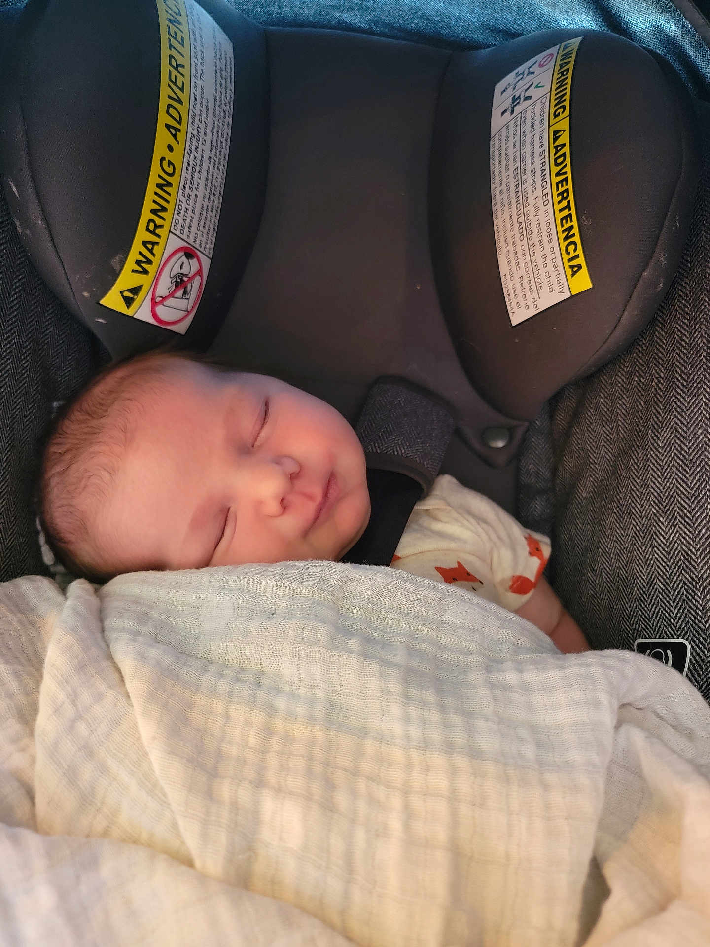 Tobias is registered to the contest to win money with this photo: baby, sleeping, blanket, car_seat, child, infant, face, head, clothing, warning_label, seatbelt, soft_texture, rest, peaceful, closeup, portrait, indoors, comfort, newborn, cute