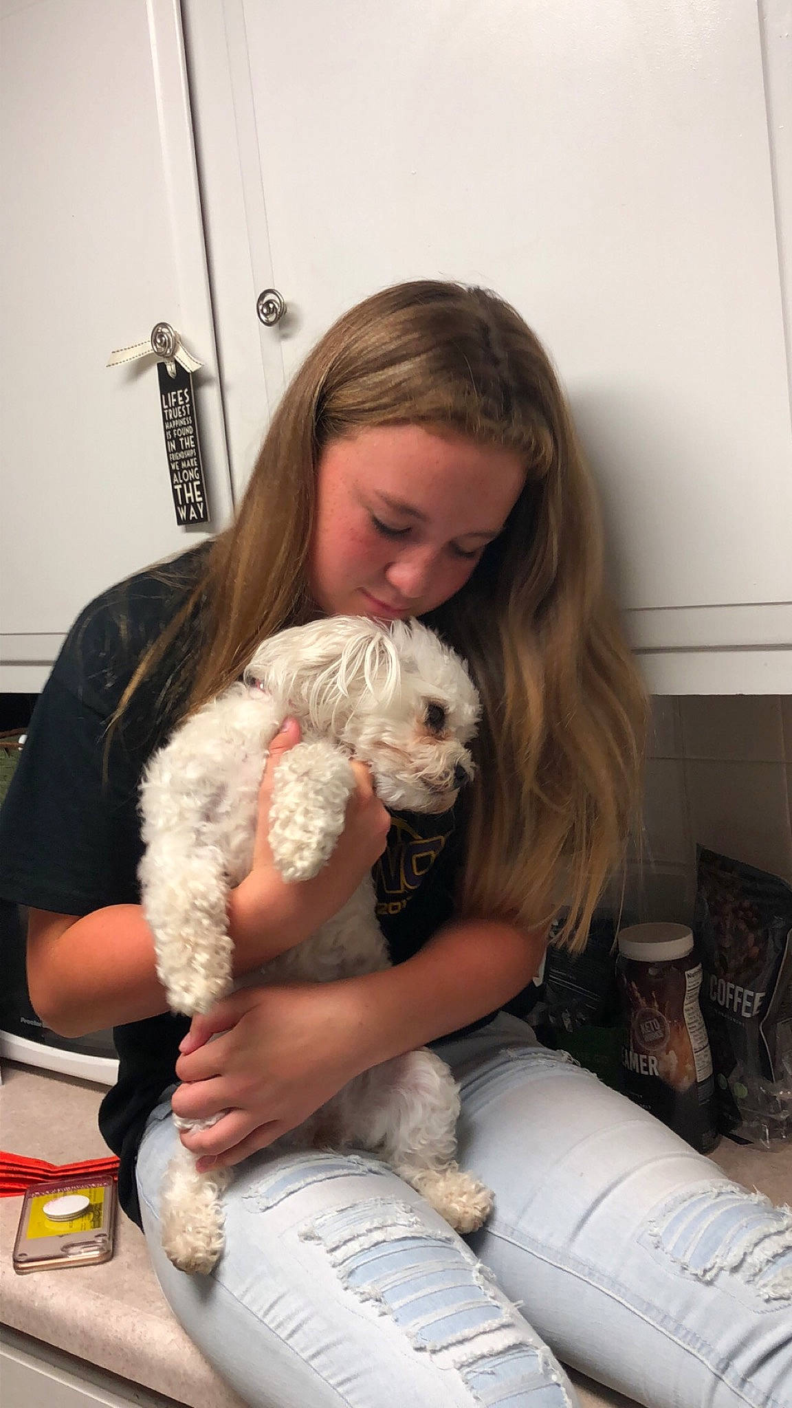 Alexus is registered to the contest to win money with this photo: bolonka, canidae, carnivore, cavachon, cockapoo, companion_dog, dog, dog_breed, fur, maltepoo, maltese, morkie, non_sporting_group, person, poodle, poodle_crossbreed, puppy, puppy_love, schnoodle, sealyham_terrier