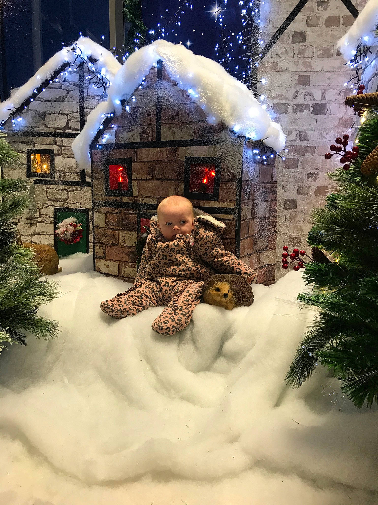 Lorena joined the competition — help win amazing prizes! christmas, fir, freezing, home, interior_design, person, snow, tree, winter