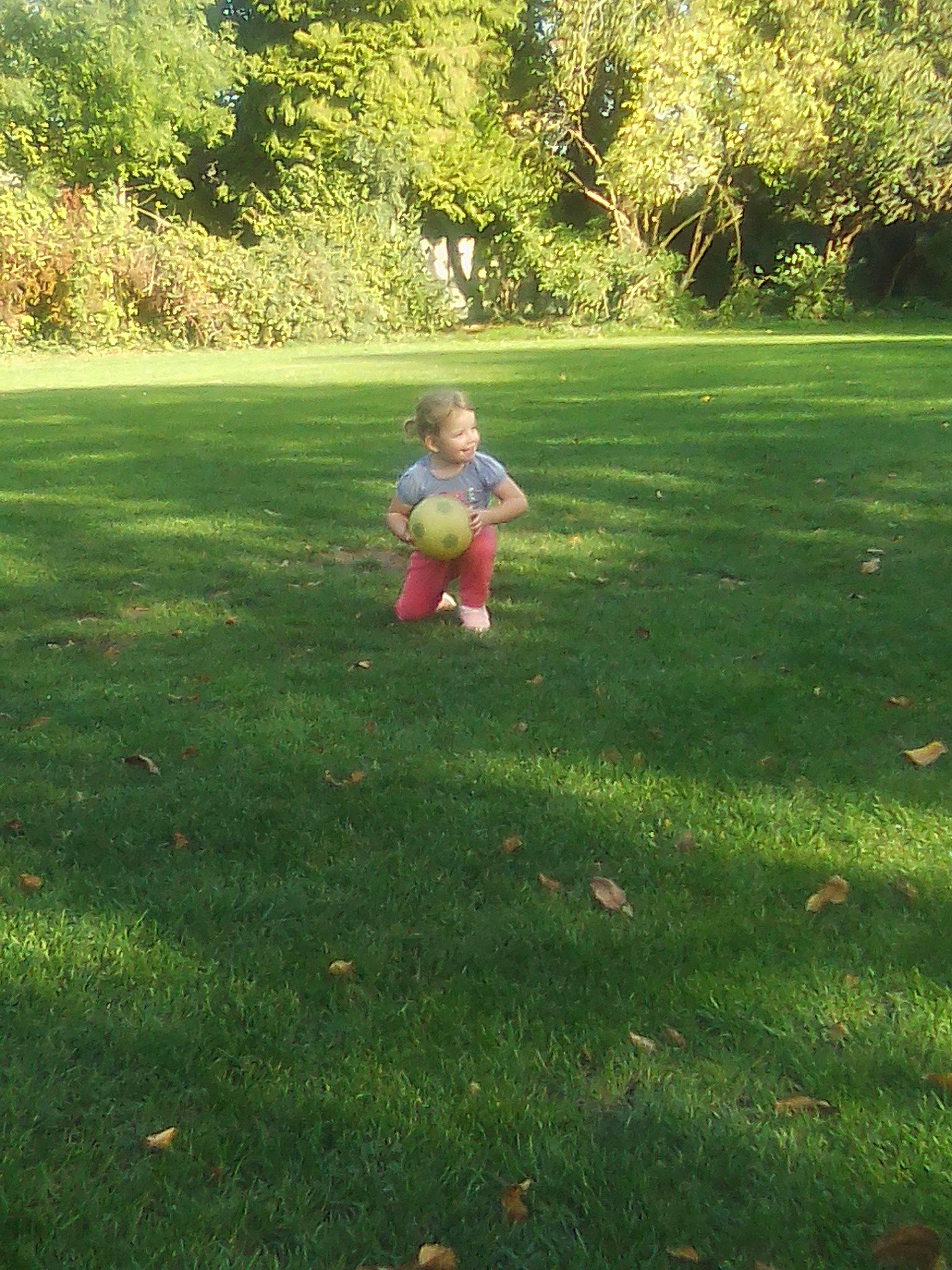 Maelia participe au concours pour gagner de l'argent avec cette photo : backyard, child, fun, garden, grass, green, joy, lawn, leaf, meadow, park, person, plant, play, recreation, shrub, spring, summer, sunlight, toddler