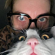 Oggy a rejoint le concours — aidez-le/la à gagner de superbes lots ! cat, person, glasses, closeup, face, whiskers, black_and_white_cat, pink_nose, eyes, indoor, portrait, curious, animal, pet, human, eyewear, fur, expression, closeup_face, dim_light