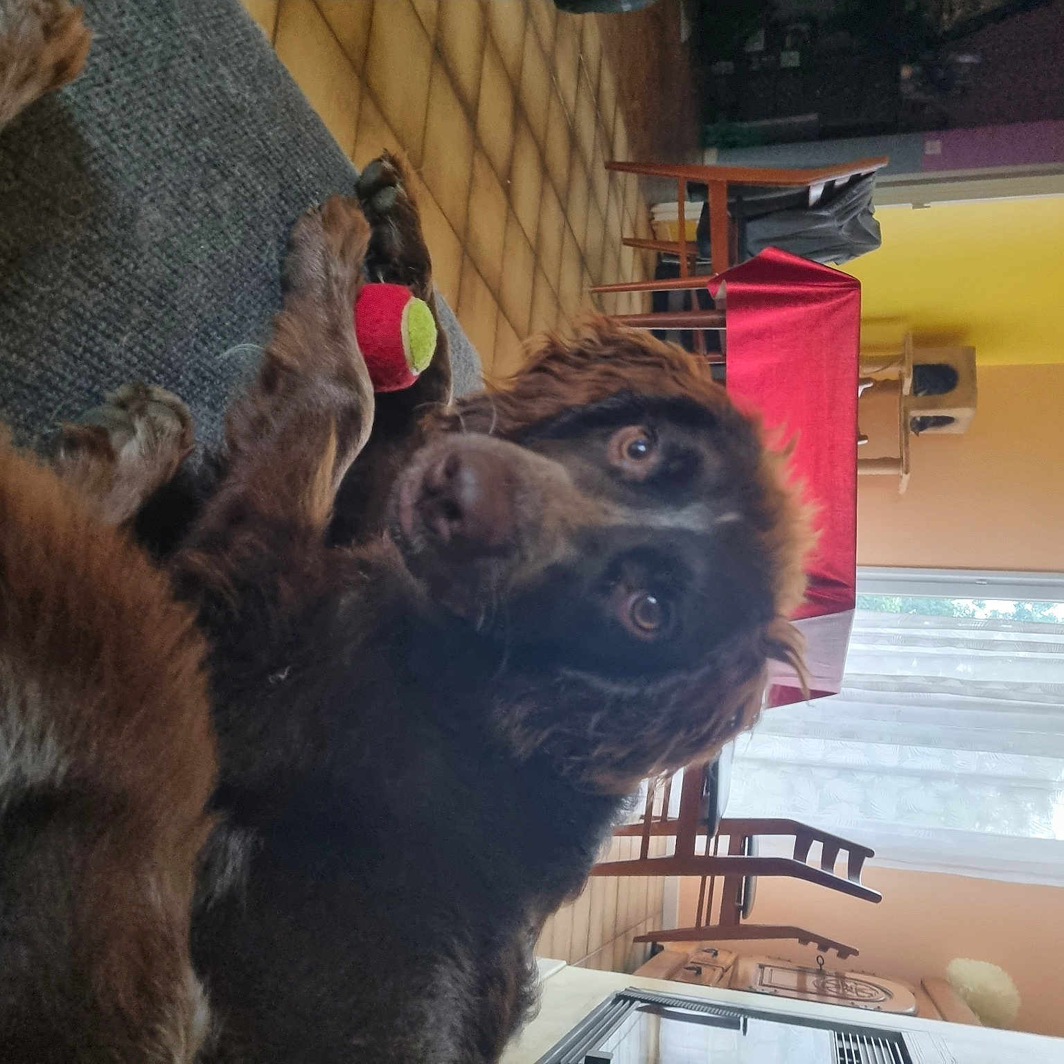 Sam