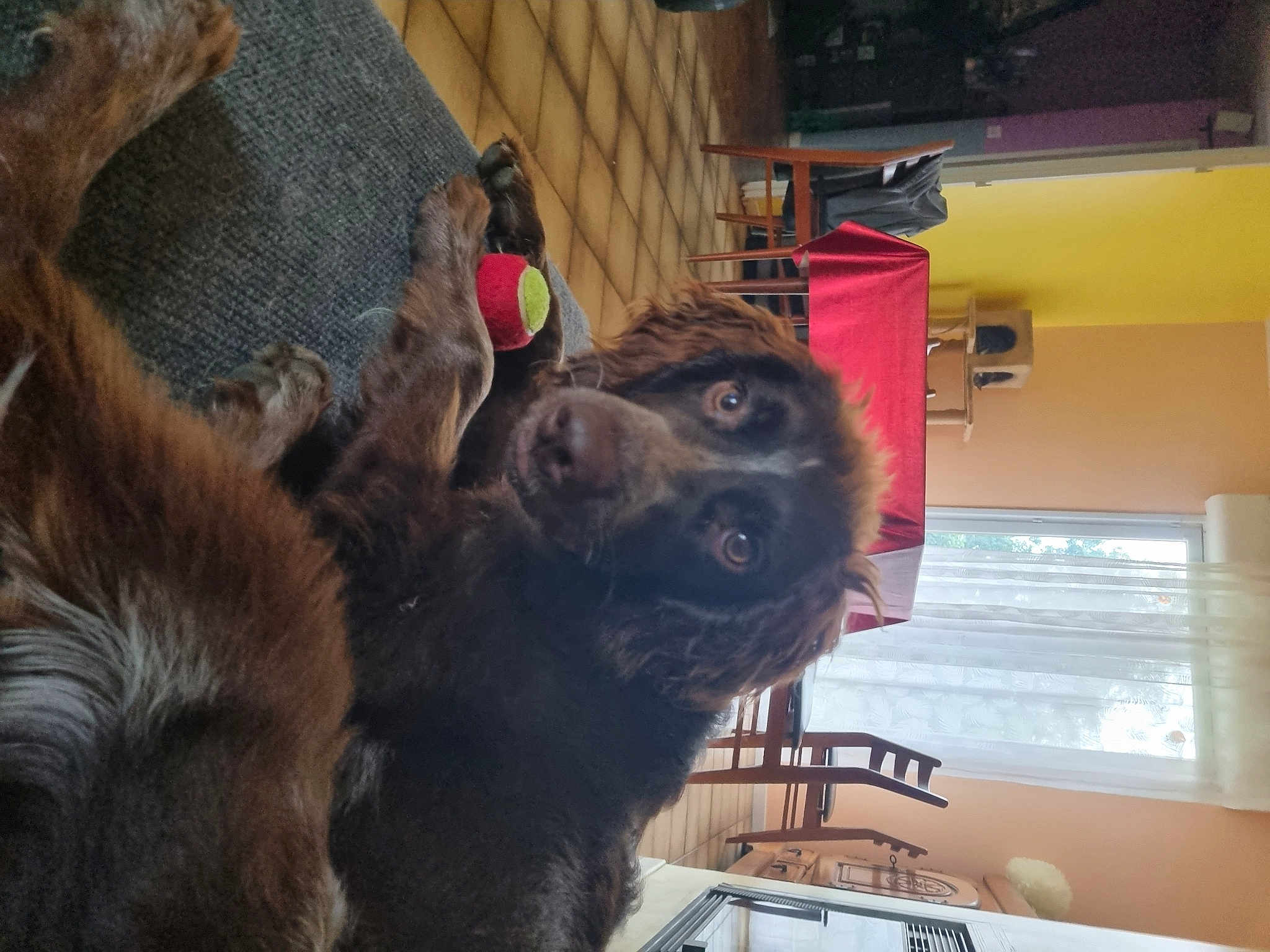 Sam