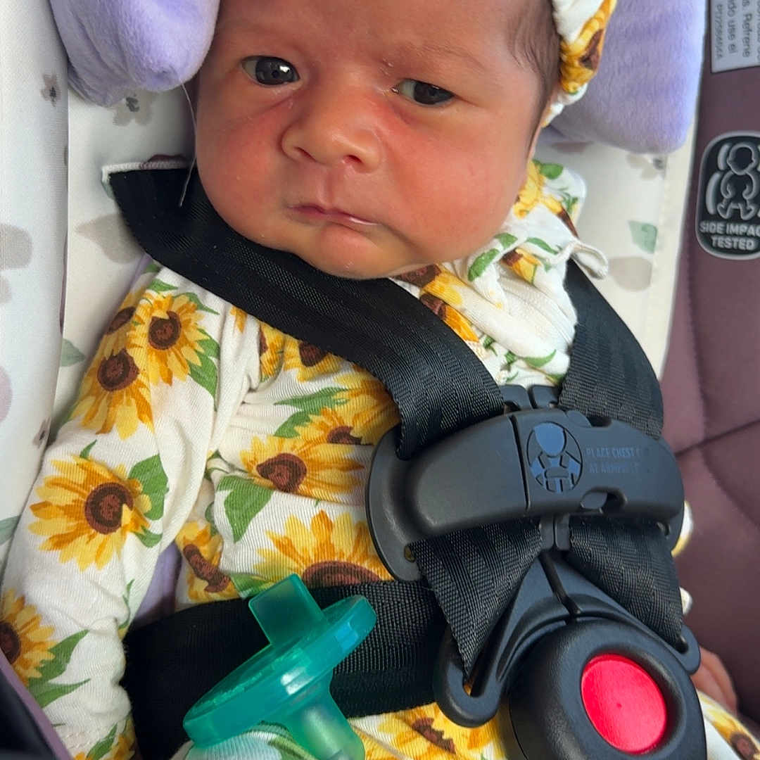 Sol is registered to the contest to win money with this photo: baby, infant, car_seat, sunflower, headband, pacifier, straps, clothing, seatbelt, child, person, cute, expression, indoors, safety, adorable, newborn, portrait, seat, fabric