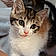 Arya