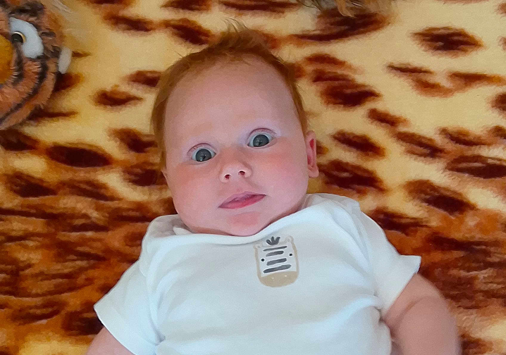 Jessica is registered to the contest to win money with this photo: baby, infant, child, onesie, blanket, tiger_pattern, face, eyes, cute, expression, lying_down, soft_texture, animal_emblem, indoors, skin, head, young_child, portrait, warm_colors, curious