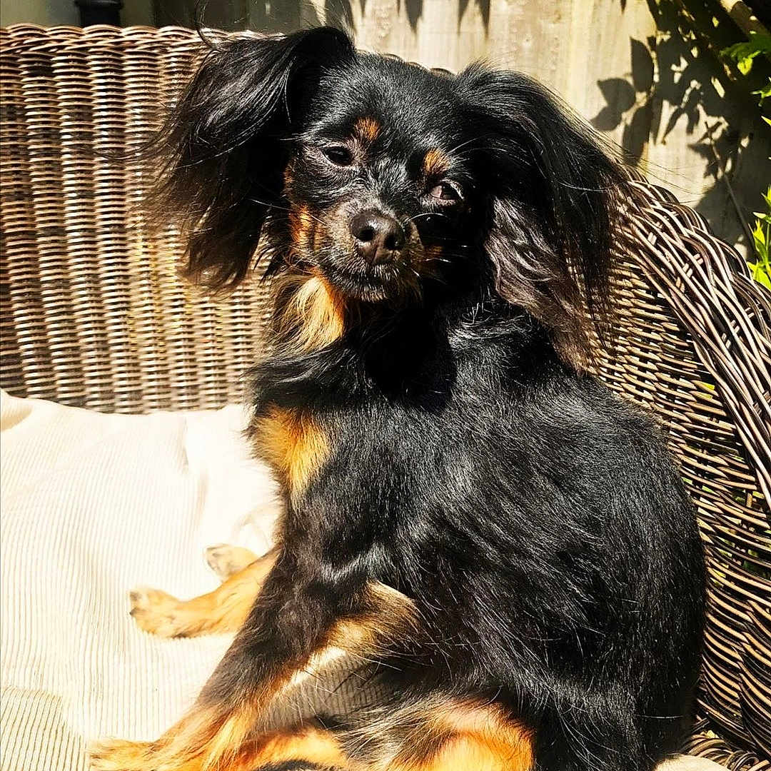 Maggie
