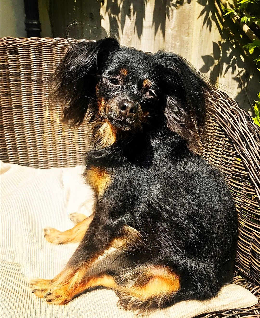 Maggie