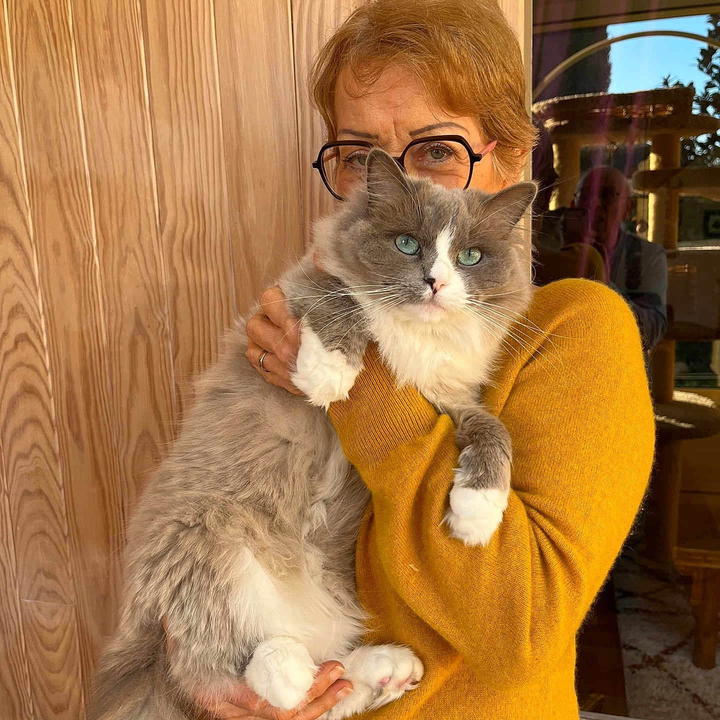 Tymka a rejoint le concours — aidez-le/la à gagner de superbes lots ! animal, blue_eyes, casual, cat, cozy, feline, fluffy_cat, glasses, gray_cat, holding, indoor, mustard_sweater, person, pet, portrait, reflection, warm_colors, white_paws, window, wooden_wall